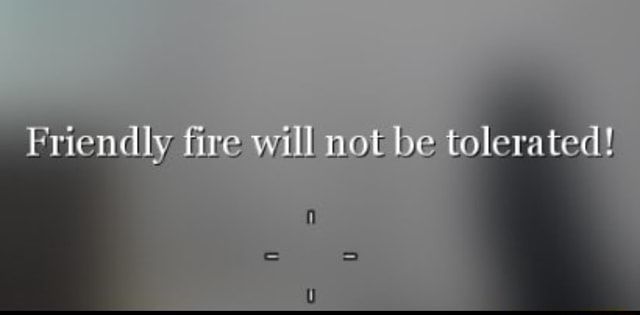 Friendly fire will not be tolerated! - iFunny