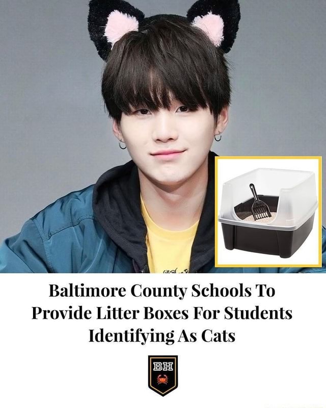 Baltimore County Schools To Provide Litter Boxes For Students
