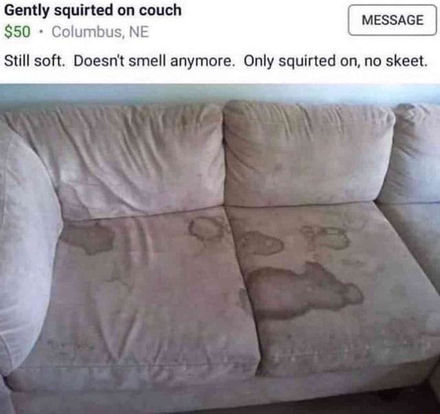 Gently Squirted On Couch 50 Columbus Ne Message Still Soft Doesn T Smell Anymore Only