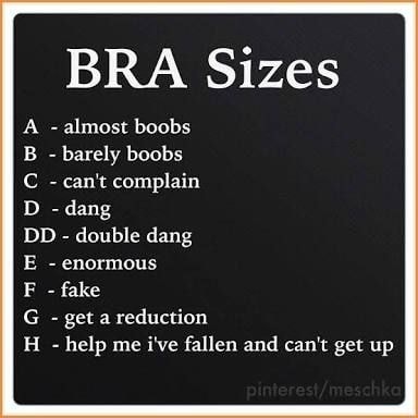 BRA Sizes A - almost boobs B - barely boobs C - can't complain D - dang DD  - double dang E - enormous F - fake G - get a reduction