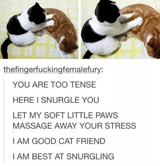 thefingen‘uckingfemalefury YOU ARE TOO TENSE HERE I SNURGLE YOU LET MY