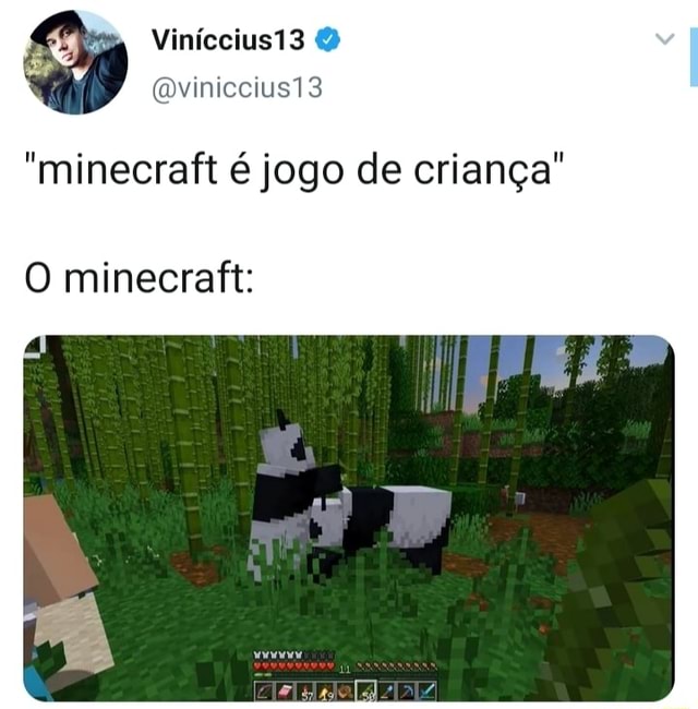 Vamos jogar Minecraft? Minecrafit jogo de criança - iFunny Brazil