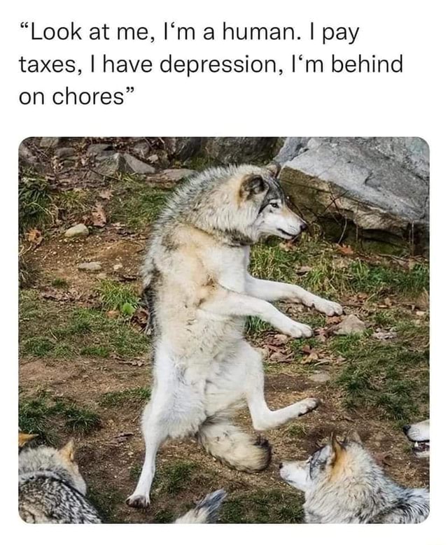 Look At Me I m A Human I Pay Taxes I Have Depression I m Behind On look-at-me-i-m-a-human-i-pay-taxes-i-have-depression-i-m-behind-on