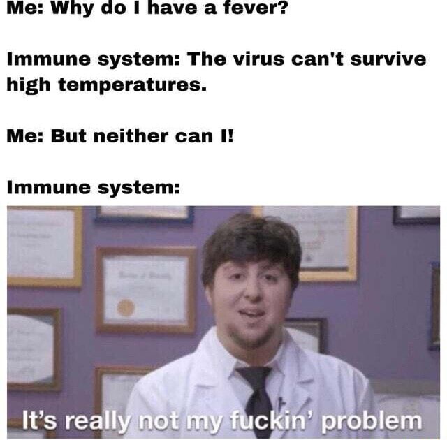 me-why-do-i-have-a-fever-immune-system-the-virus-can-t-survive-high