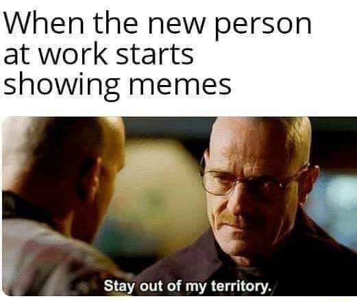 When the new person at work starts showing memes Stay out of my ...