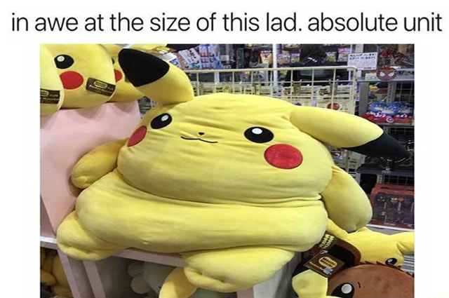 In awe at the size of this lad. absolute unit - iFunny