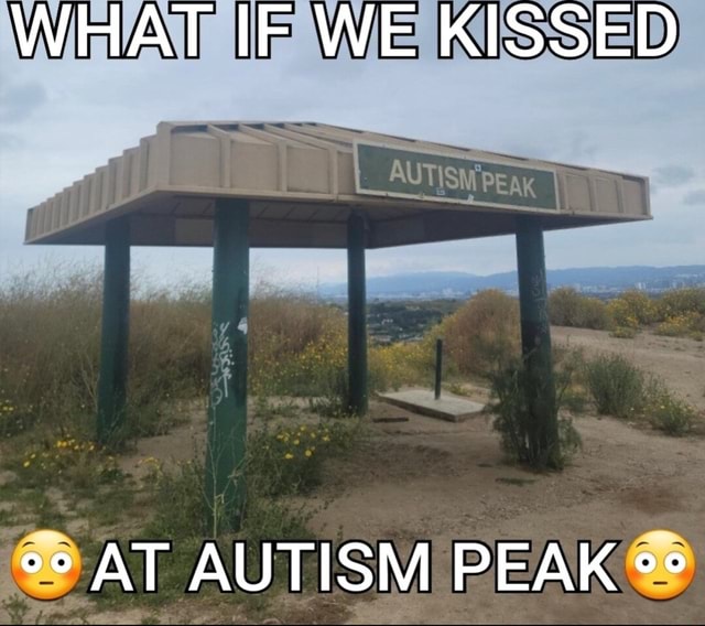 WHAT IF WE KISSED AT AUTISM PEAK iFunny