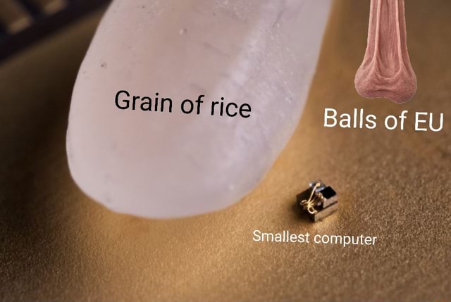 Grain of rice Balls of EU Smallest computer - iFunny