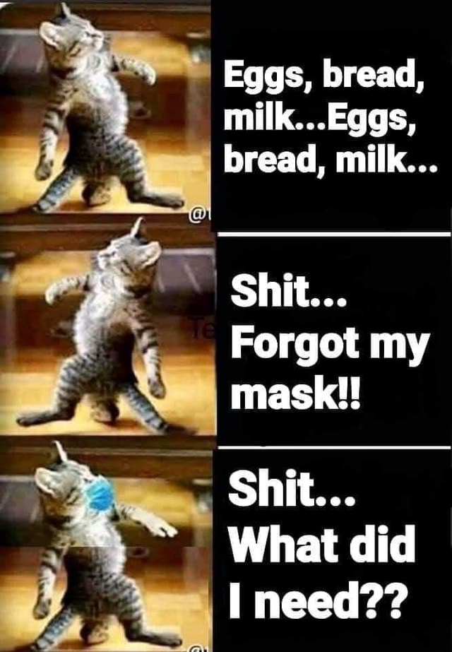 Eggs, bread, milk...Eggs, bread, milk... le Shit... my mask