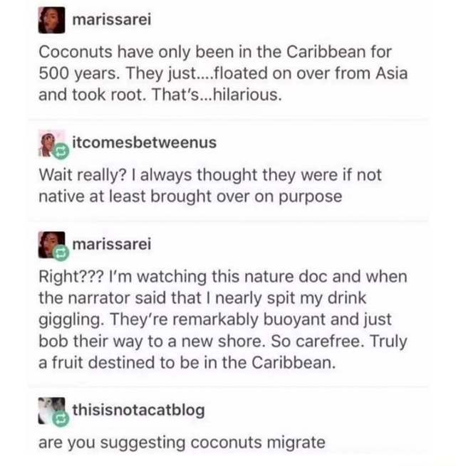 A marissarei Coconuts have only been in the Caribbean for 500 years
