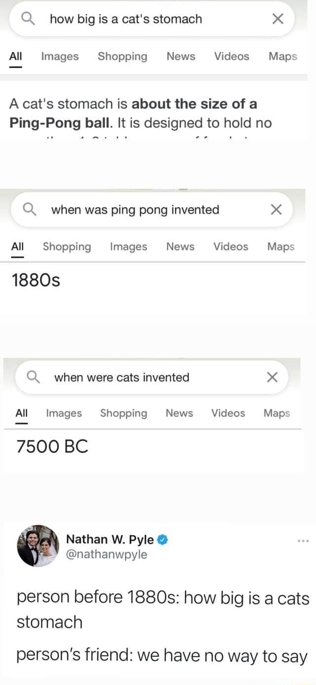 Q. how big is a cat's stomach All Images Shopping News Videos Maps A