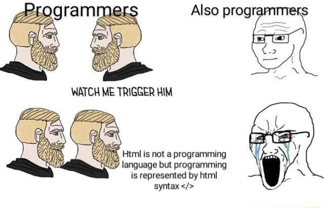 Html is not a programming language but programming is represented by ...