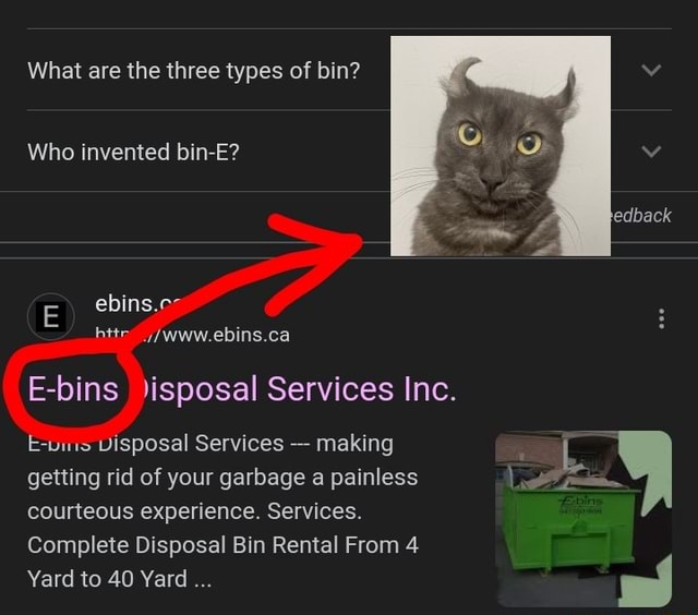 What are the three types of bin? Who invented binE? Ebins 'isposal
