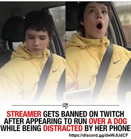 STREAMER GETS BANNED ON TWITCH AFTER APPEARING TO RUN OVER A DOG WHILE ...