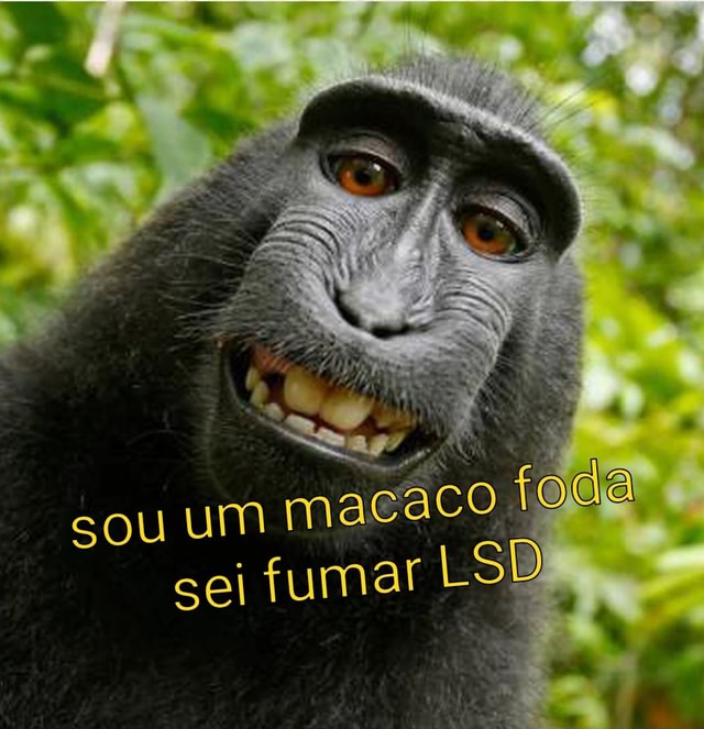 Sou macaco foda sei fumar - iFunny Brazil