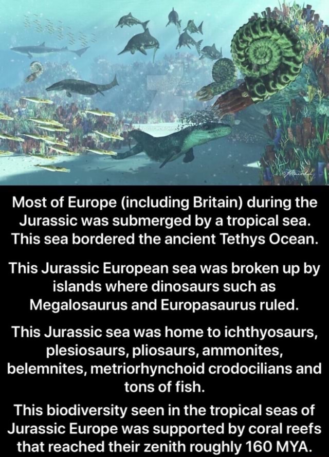 Most of Europe (including Britain) during the Jurassic was submerged by ...