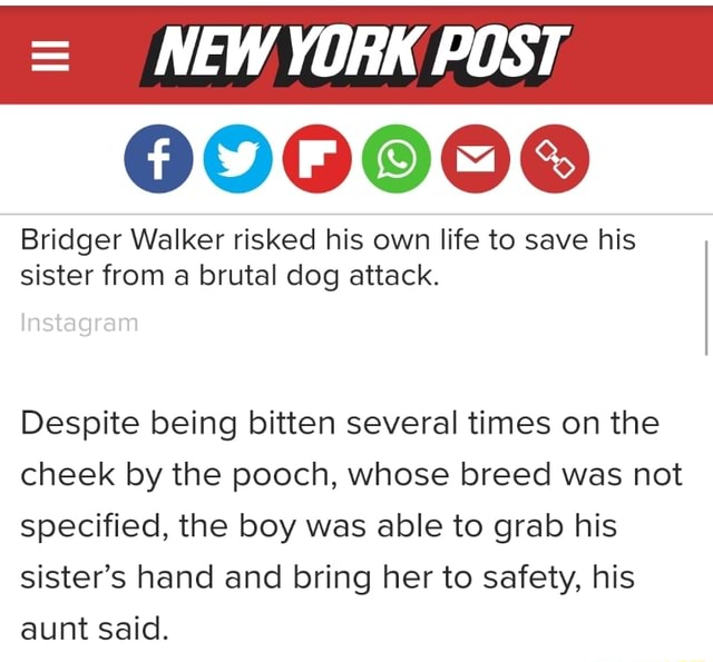 000000 Bridger Walker risked his own life to save his sister from a
