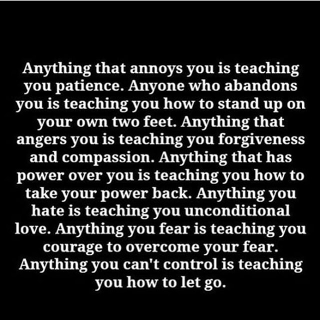 Anything that annoys you is teaching you patience. Anyone who abandons ...