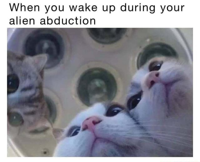 When you wake up during your alien abduction - iFunny