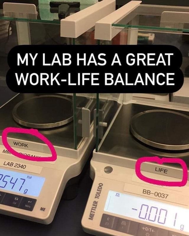 MY LAB HAS A GREAT WORK LIFE BALANCE iFunny