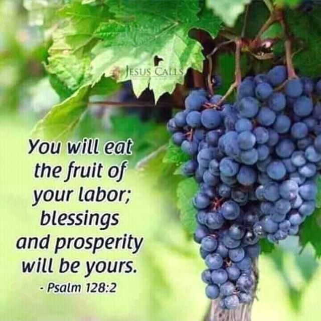 You wit eat the fruit of your labor; blessings and prosperity will be