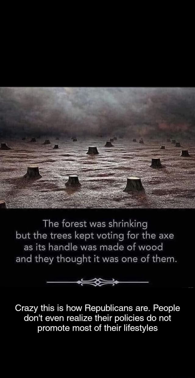 The forest was shrinking but the trees kept voting for the axe as its