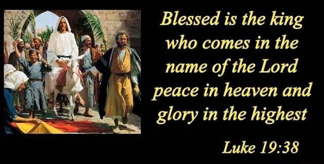 Blessed Is The King Who Comes In The Name Of The Lord Peace In Heaven 