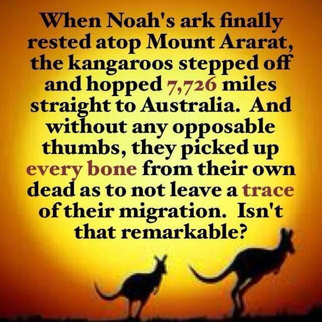 Get in the boat Noah - When Noah's ark finally rested atop Mount Ararat ...