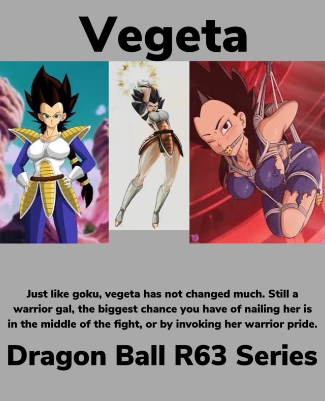 Just like goku, vegeta has not changed much. Still a warrior gal, the  biggest chance you have of nailing her is in the middle of the fight, or by  invoking her warrior