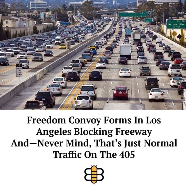 Freedom Convoy Forms In Los Angeles Blocking Freeway And-Never Mind ...