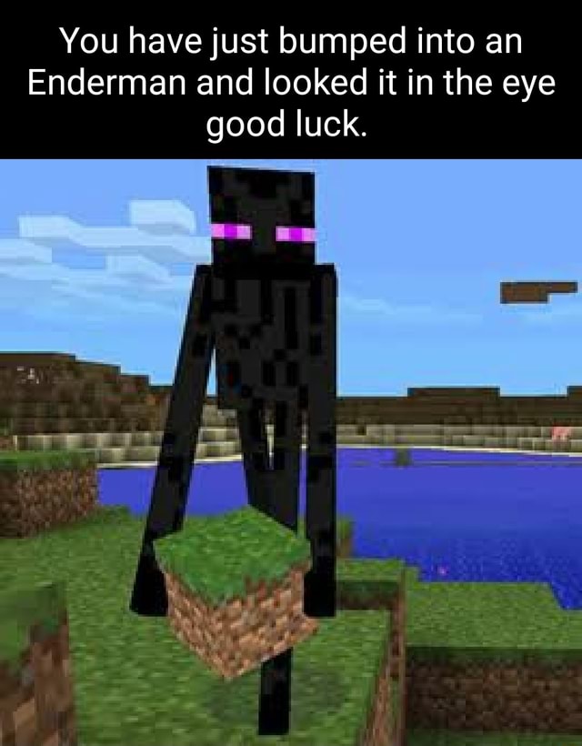 You Have Just Bumped Into An Enderman And Looked It In The Eye Good Luck A Ava Ifunny Brazil 3157