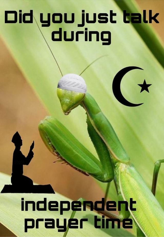 Did you just Balk during iFunny