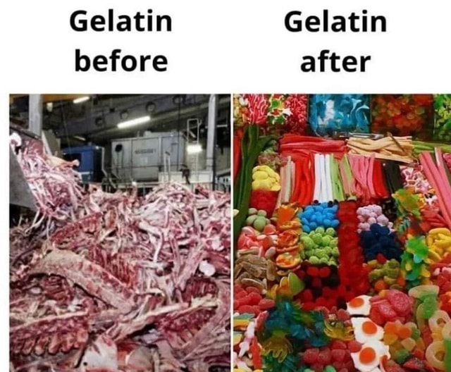 Gelatin before after iFunny