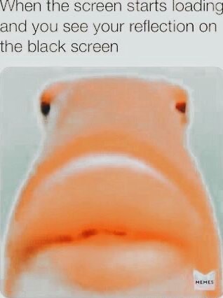 Loading Screen Reflection Meme Vnen the screen starts loadin and you see your reflection on the black ...