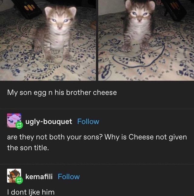 My son egg n his brother cheese are they not both your sons? Why is