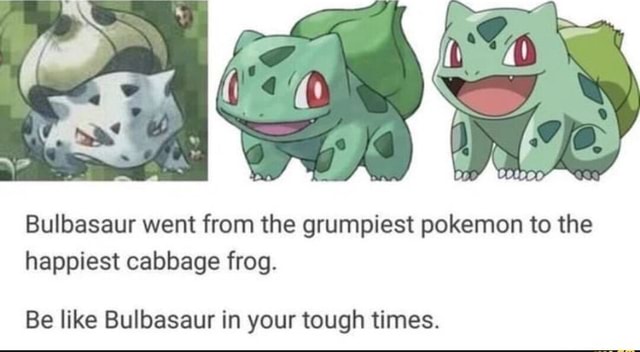 Bulbasaur went from the grumpiest pokemon to the happiest cabbage frog ...