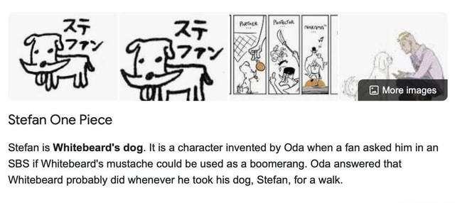 At Stefan One Piece More Images Stefan Is Whitebeard S Dog It Is A Character Invented By Oda When A Fan Asked Him In An Sbs If Whitebeard S Mustache Could Be Used As