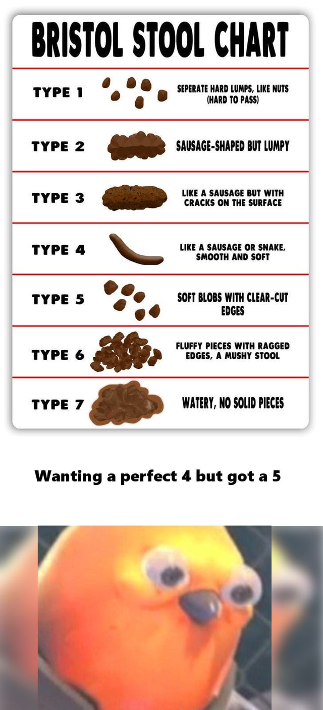 bristol-stool-chart-seperate-hard-lumps-like-nuts-typet-e-hard-to