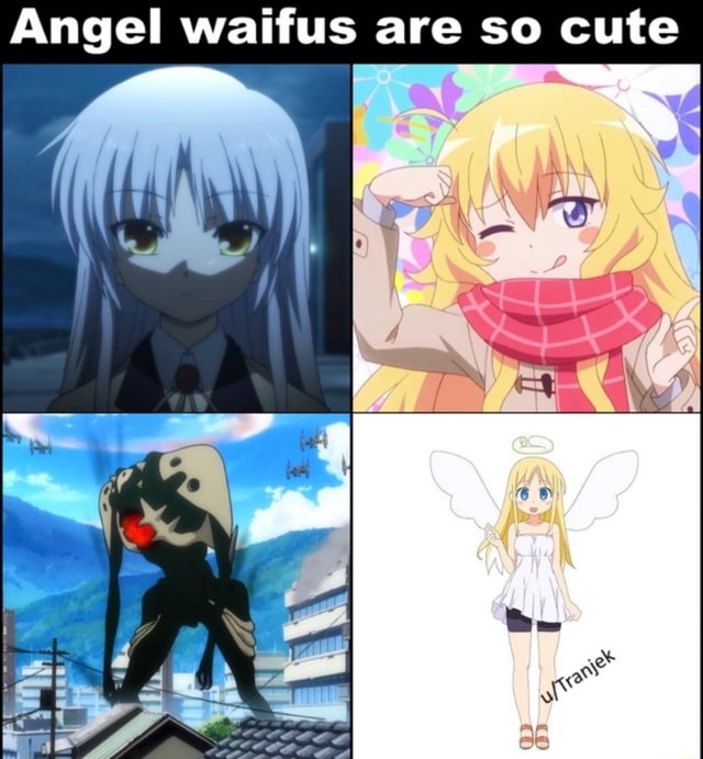 Angel waifus are so cute - iFunny