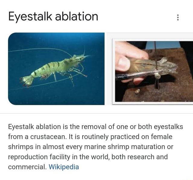 Eyestalk ablation Eyestalk ablation is the removal of one or both