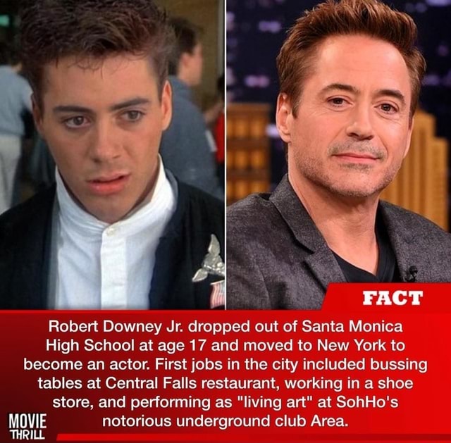 Entenda como Robert Downey Jr. foi parar em The God of High School