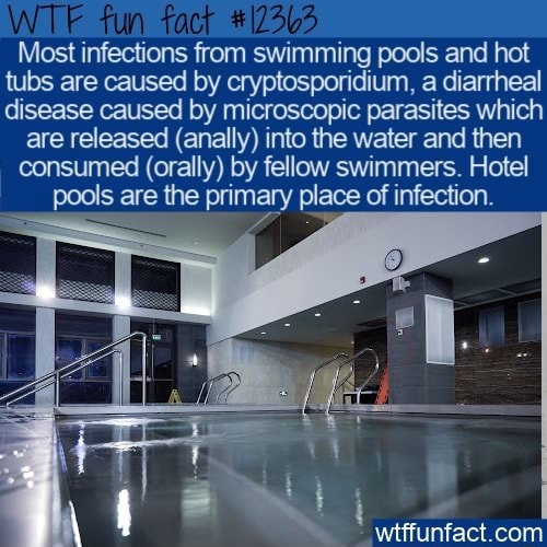 Fun Most infections from swimming pools and hot tubs are caused by