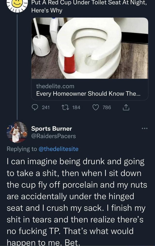 Put A Red Cup Under loilet seat At Night, Here's Why Every Homeowner