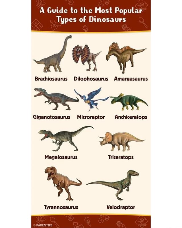 A Guide to the Most Popular Types of Dinosaurs Brachiosaurus ...