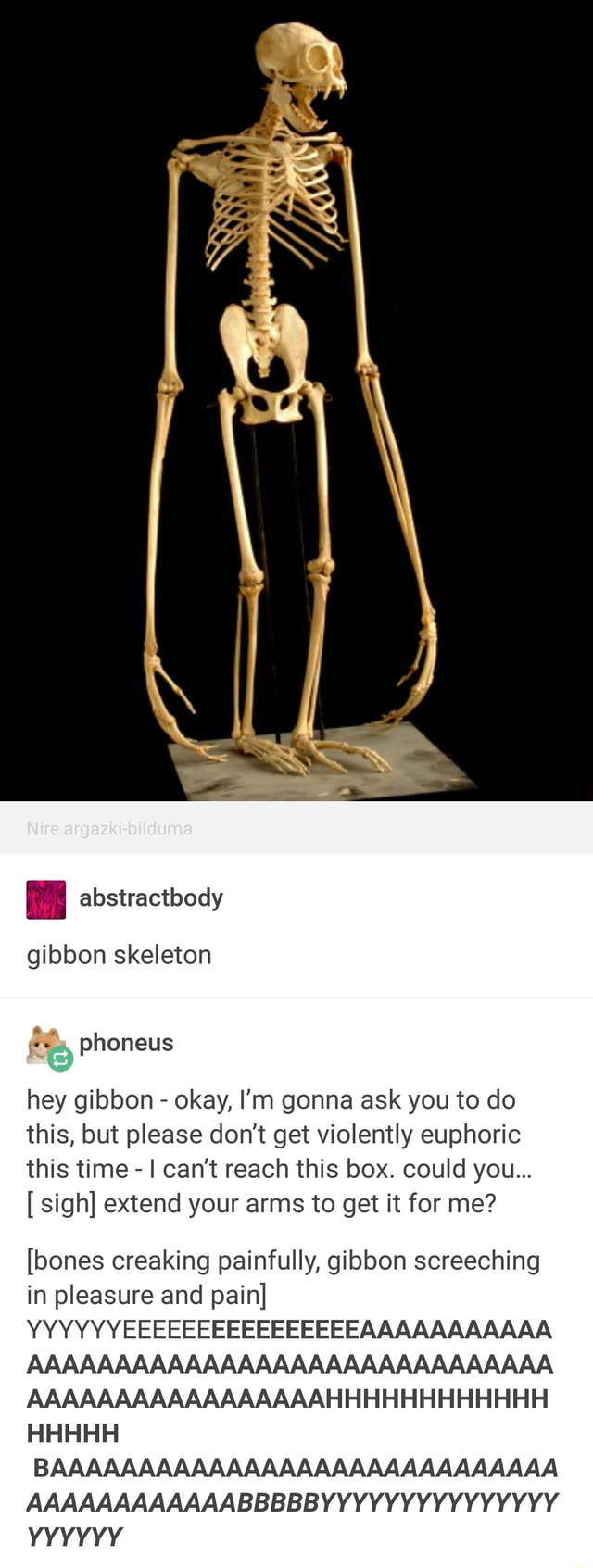 I abstractbody gibbon skeleton hey gibbon - okay, I'm gonna ask you to