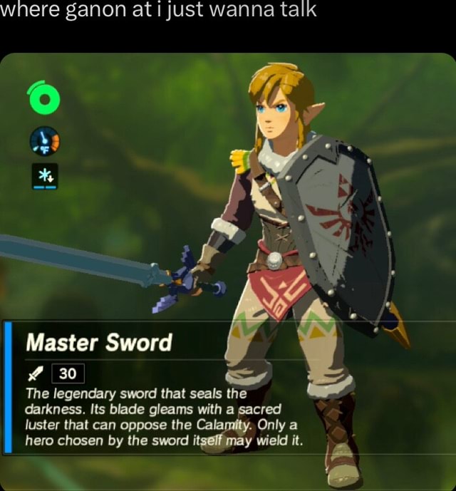 Where ganon at just wanna talk Master Sword 30 The legendary sword that ...