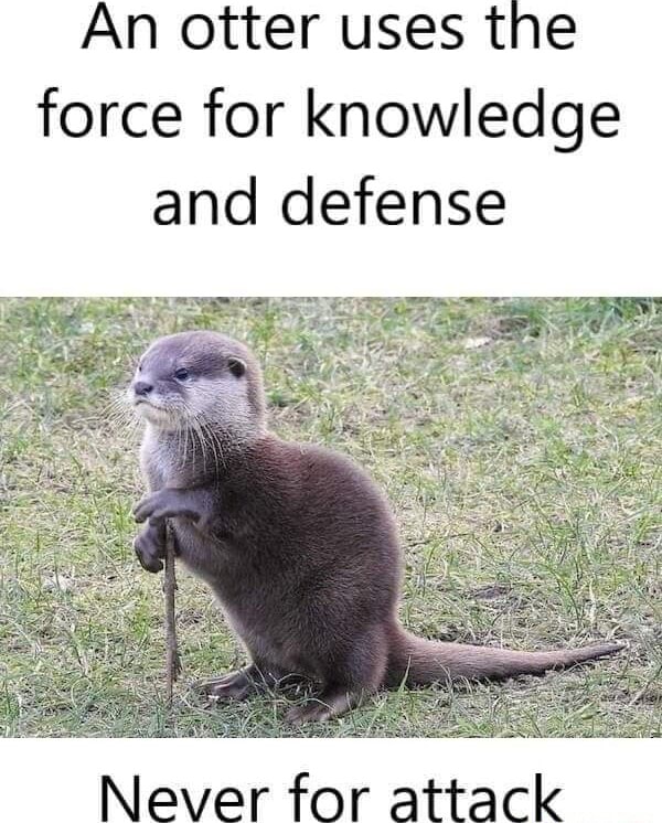 An otter uses the force for knowledge and defense Never for attack