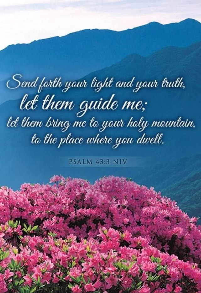 sad-forth-you-light-and-your-bulh-le-than-guide-ne-lee-than-bring-me