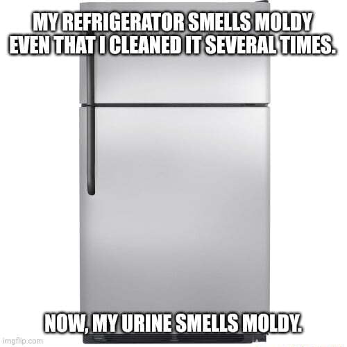 MY REFRIGERATOR SMELLS MOLDY, EVEN THAT I CLEANED IT SEVERAL TIMES NOW