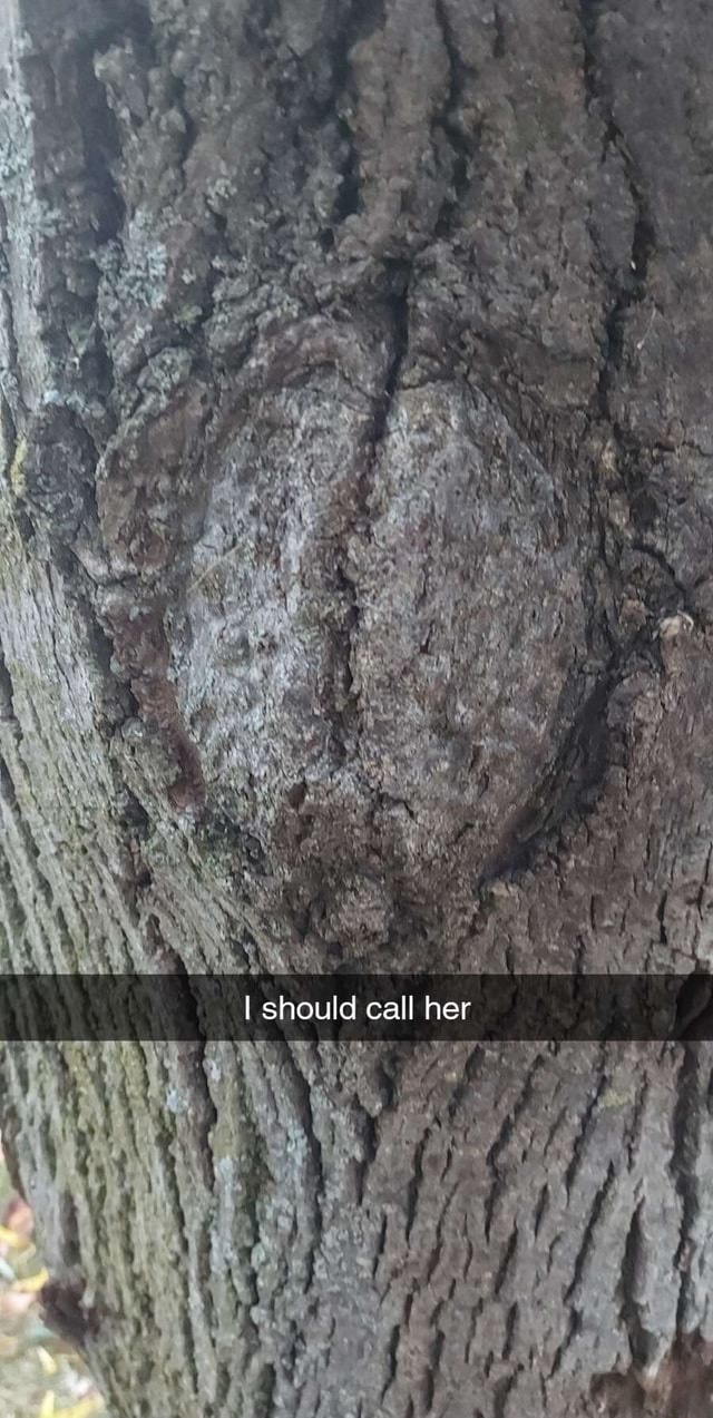 I Should Call Her Ifunny Brazil I Should Call Her Ifunny Brazil